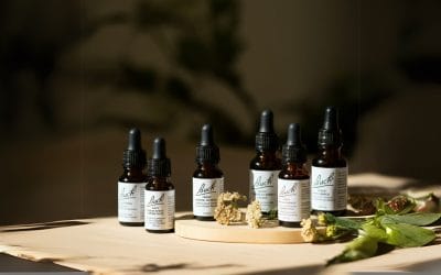 Anti-stress naturel puissant : trouvez votre sérénité